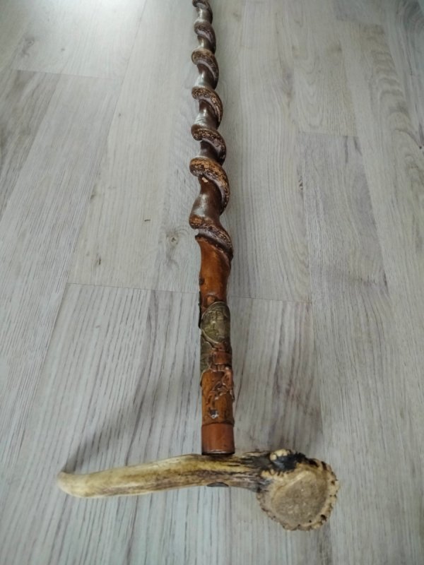Laska turystyczna z porożem