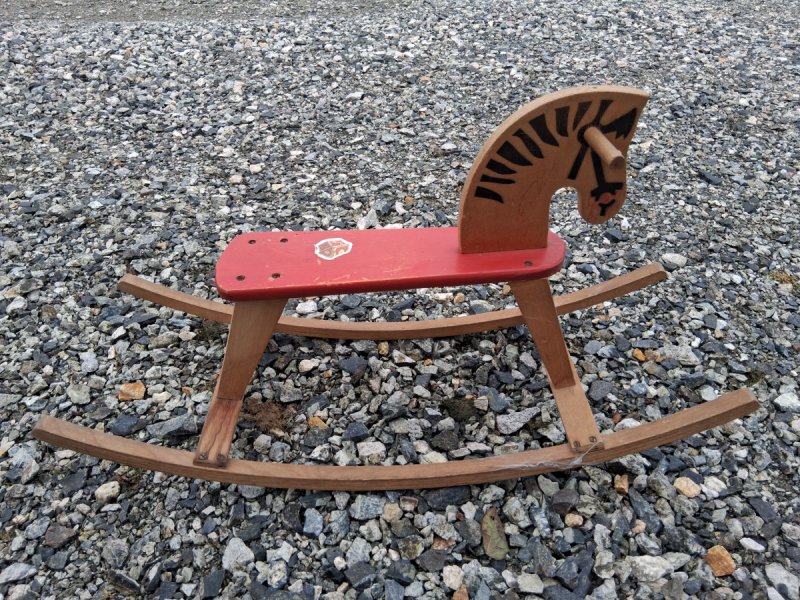 Stary konik na biegunach