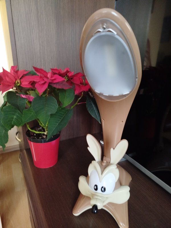 PIĘKNE lampki nocne led Kojot, Lis, Wiewiorka - 01