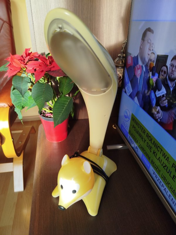 PIĘKNE lampki nocne led Kojot, Lis, Wiewiorka - 05